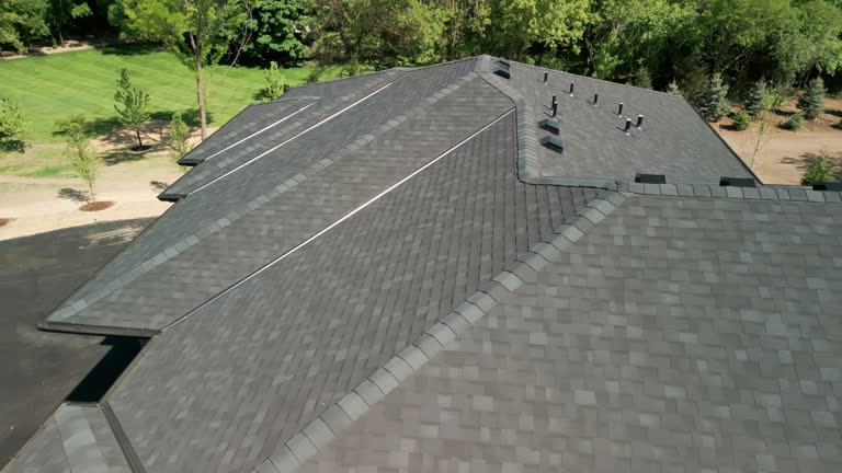 Best Solar Panel Roofing Installation  in Heartland, TX