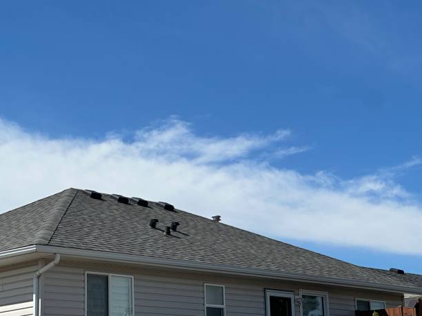 Best Skylight Installation and Repair  in Heartland, TX
